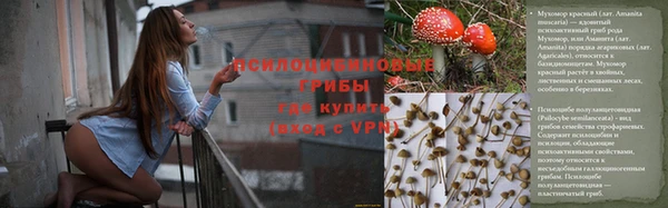 МДПВ Арсеньев