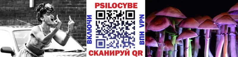 Галлюциногенные грибы Psilocybine cubensis  Удомля 
